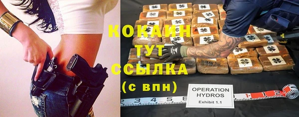 гидра Бородино
