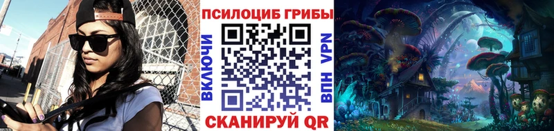 Галлюциногенные грибы Psilocybine cubensis Белоусово