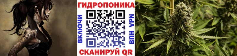 Конопля план Белоусово